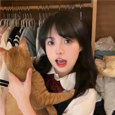 豹