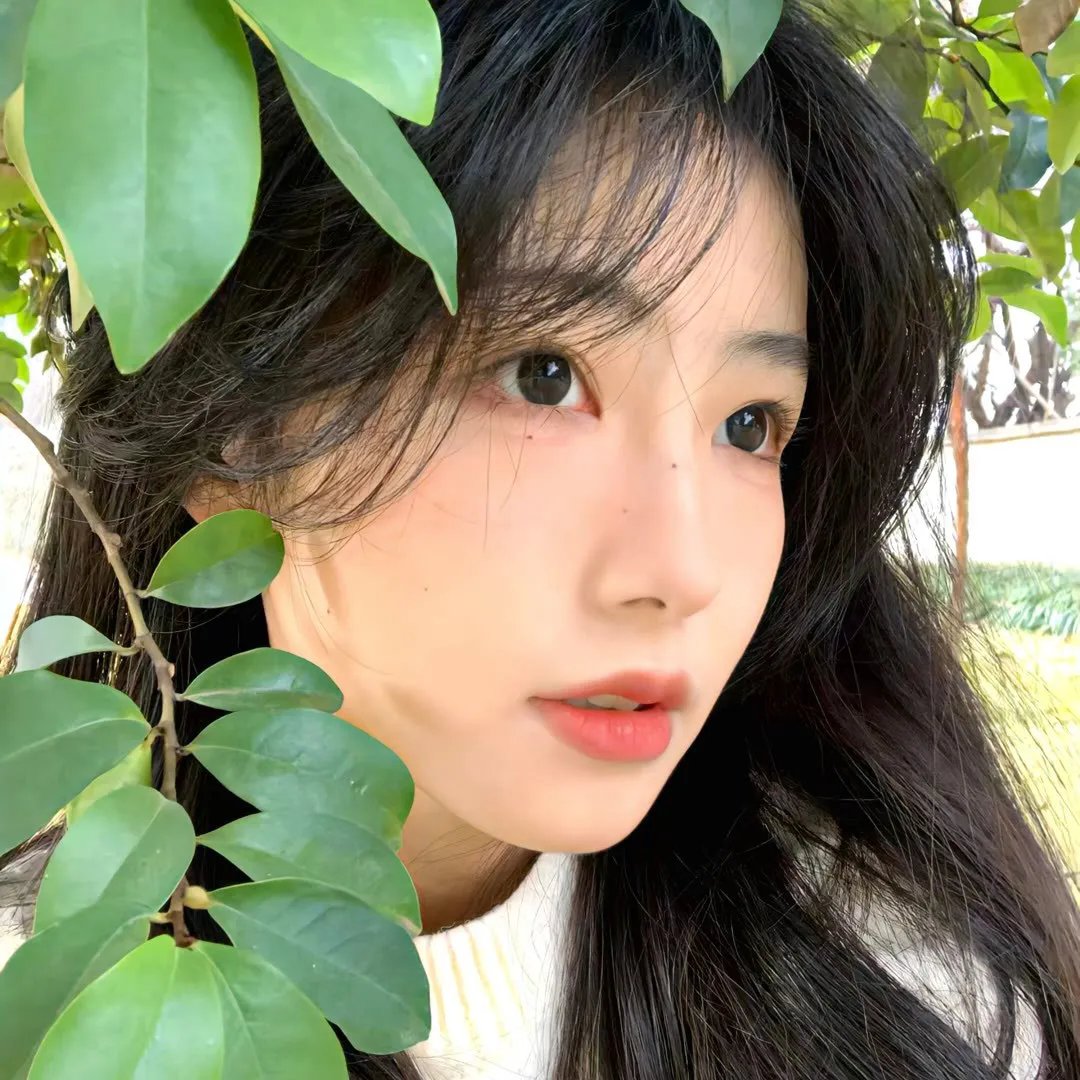 教室里的一头牦牛